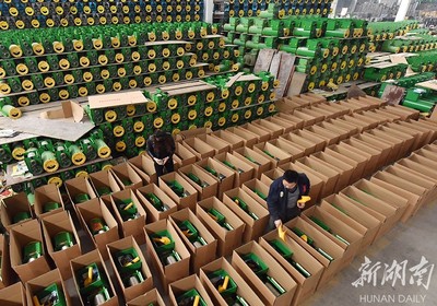 備戰(zhàn)雙十一，薯類產(chǎn)品銷售攻略