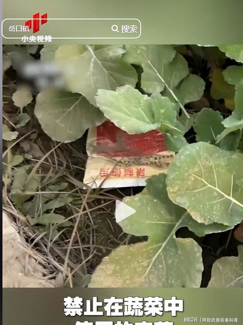 云南‘毒紅薯’事件升級 調(diào)查組介入深挖產(chǎn)業(yè)鏈，商戶‘主動投毒’背后的黑幕浮出水面