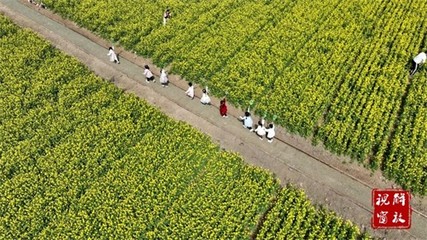 薯香飄千里 2025年焦作市麥田里田園綜合體項(xiàng)目引領(lǐng)薯類銷售新篇章