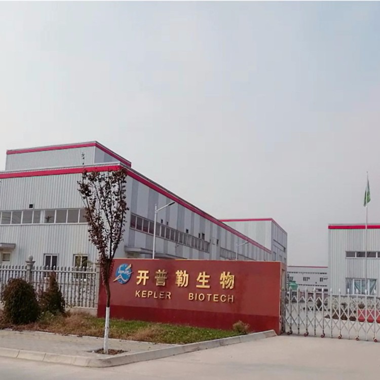 橄欖葉提取物 保健品與化妝品中的天然瑰寶，橄欖苦甙現貨包郵來襲